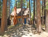 Wooded Lot