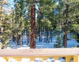 Wooded View